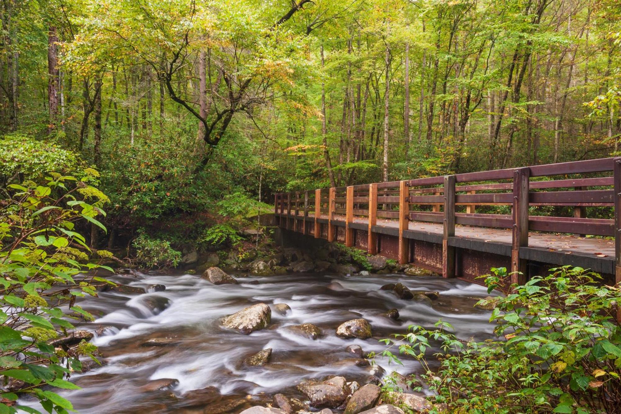 Serenity Heights, Amazing Views, Hot Tub Pool Access, 1089 Free Tickets Each Paid Day, Dollywood Gatlinburg Εξωτερικό φωτογραφία